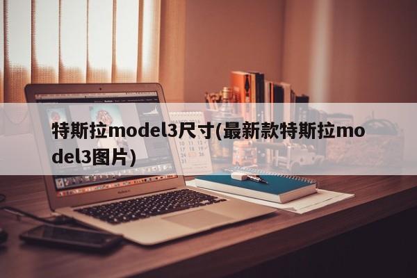特斯拉model3尺寸(最新款特斯拉model3图片)