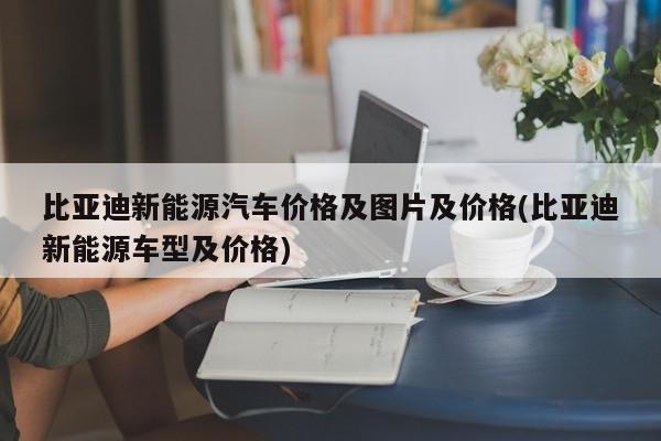 比亚迪新能源汽车价格及图片及价格(比亚迪新能源车型及价格)