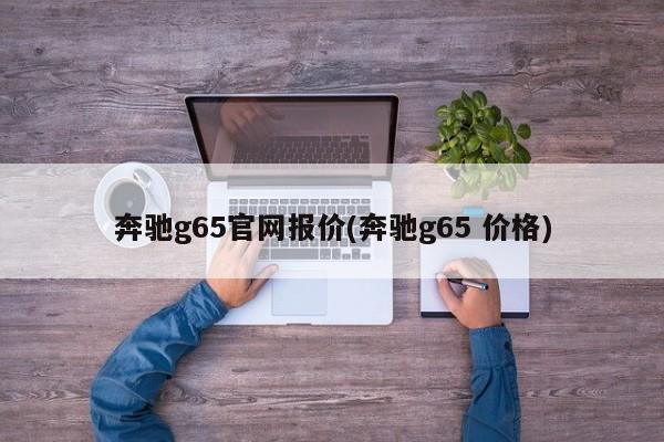 奔驰g65官网报价(奔驰g65 价格)