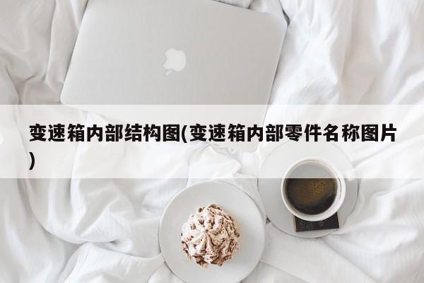 变速箱内部结构图(变速箱内部零件名称图片)